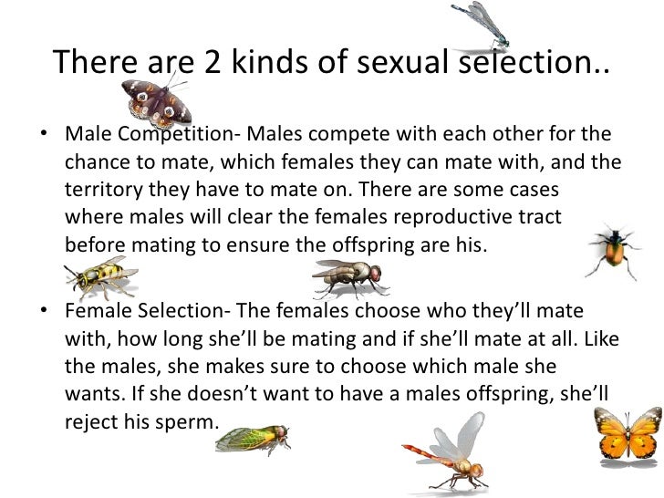 what is sexual selection Real mature plump nudist pics